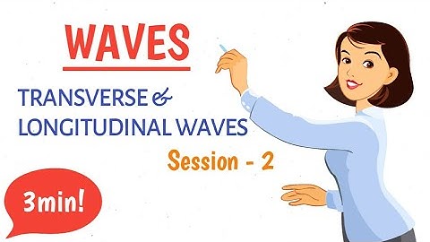 Transverse & Longitudinal Waves | Waves | Physics | iAcademy - Global Education