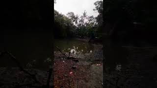 owo village #viralvideo #dance #youtubeshorts #love #reels #song #trending #viral #foryou #reel