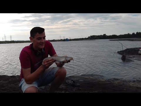 თევზაობა მდ. რიონზე, დიდი ლოქო დავსვი წითელ ჭიაზე