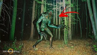 12 избранных видео от сельцамэна Kreaturen Reptilien SkinWalker Bigfoot Part 4 ECHTER TERROR 2024