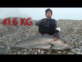 KIYIDAN OLTA İLE TÜRKİYE REKORU KUZU AVI !! / LAND BASED RECORD AMBERJACK 41.660 GRAM