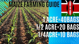 Maize farming Guide Kenya
