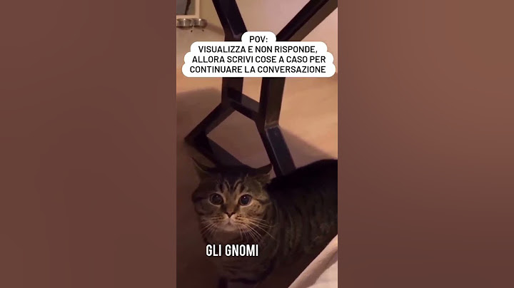 Misha il gatto e le candele. Il reel da cui è partito tutto.
