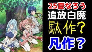 追放白魔ロシデレよりマシ2025年夏アニメなろう最弱しかしこれより酷いアニメはある勇者パーティーを追放された白魔導師Sランク冒険者に拾われる この白魔導師が規格外すぎるなろう系