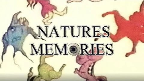 B O Ḵ Ë - Proper Gander