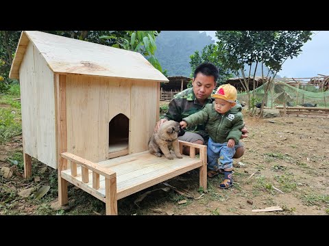 Design your own wooden pet house - Buy more puppies to raise.farm life