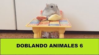 Download Doblando Animales 6 Mp3 and Video Doblando Animales 6