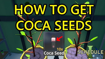 Schedule 1 How to Get Coca Seeds. How to Unlock Coca Seed in Schedule 1 For Coke Production