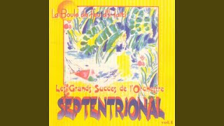 Video thumbnail of "Orchestre Septentrional - Ti fi a leve"