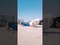 Bruce lee pushup #brucelee #karate #viralshorts #trendingshorts #martialartist #shorts#fitness#short
