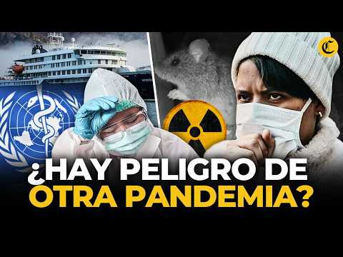 Alerta por Hantavirus: OMS rompe el silencio ante riesgo de pandemia | El Comercio