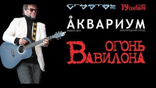 Борис Гребенщиков  Огонь Вавилона 2013