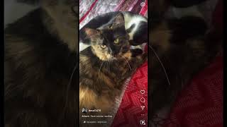 Azrail Faruk Manitası