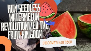 How the Seedless Watermelon Revolutionized the Fruit Kingdom | A Journey of Genetic Marvels