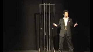 Visual Displacement Illusion from Illusionary Departures by J C Sum