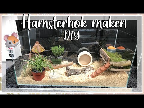 Video: Hoe Maak Je Hamsterkooien?