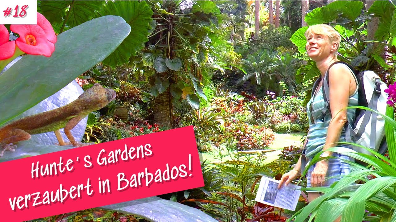 ⁣#18 Erster Ausflug in Barbados! Entspannen in der Karibik - Sailing Naughty Girl