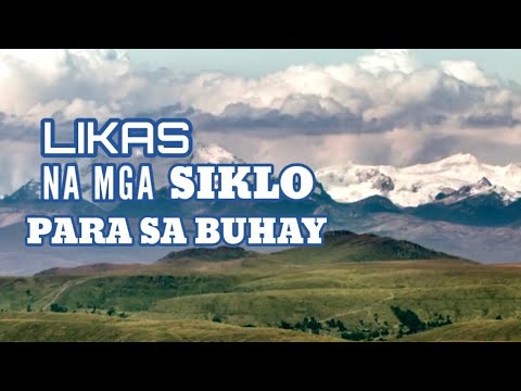 Video: Ano ang siklo ng buhay ng isang buhay na organismo?