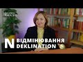 N-відмінювання або N-Deklination. Слабке відмінювання іменників в німецькій мові. Deutsch für Aliens