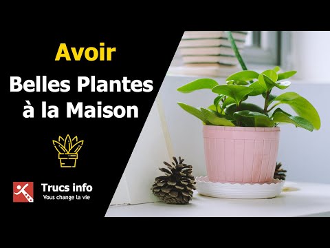 Comment Avoir de