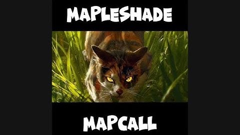 Warriors mapcall|pretty little liar|Mapleshade|OPEN|thumbnail contest: OPEN|Kinda beginner friendly|