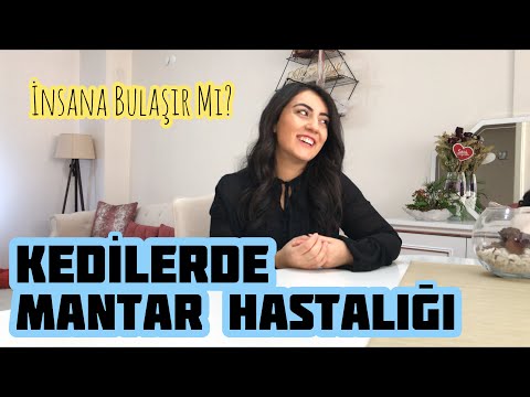 Video: Kedilerde Saçkıran Nasıl Tedavi Edilir