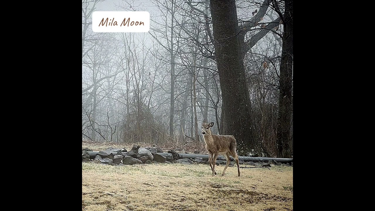 Watch Mila Moon - Write #indie #bedroompop #lofi on YouTube Watch Mila Moon - Write #indie #bedroompop #lofi on YouTube