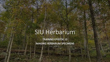 Herbarium specimen imaging