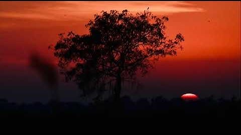 ما أجملها تلاوه عذبه ترق لها القلوب | أسامة عطران