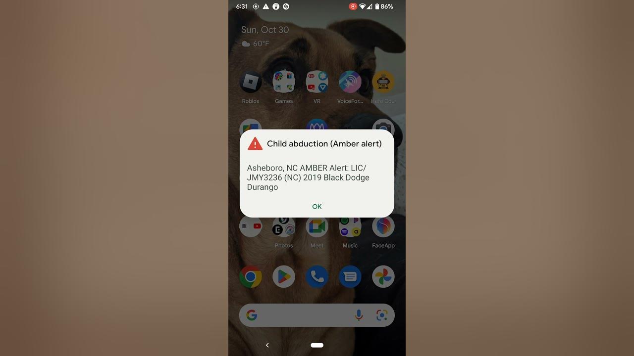Amber Alert Asheboro Black Dodge Ram