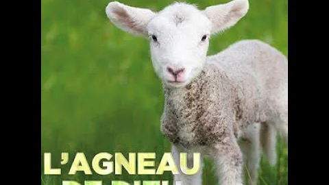 Qui est l'agneau dans la Bible ?