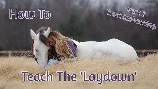 How To Teach Your Horse The 'Laydown' (Part 2) Problem Solving/Breaking it Down