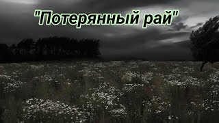 Пони клип: \