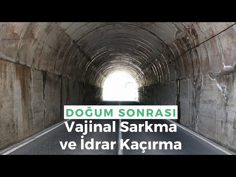 Doğum Sonrası Vajinal Sarkma ve İdrar Kaçırma: Nasıl Önlenebilir? Nasıl Tedavi Edilir?