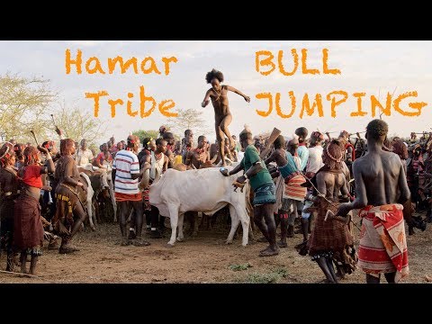 Hamar-  Ritual Bull Jumping, Äthiopien