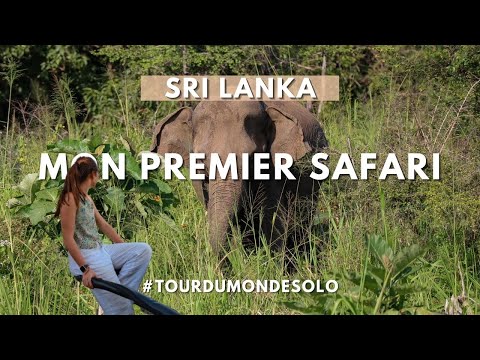 Vidéo: Où faire un safari au Sri Lanka