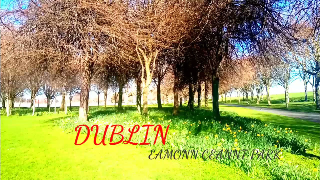 EAMONN CEANNT IN DUBLIN
