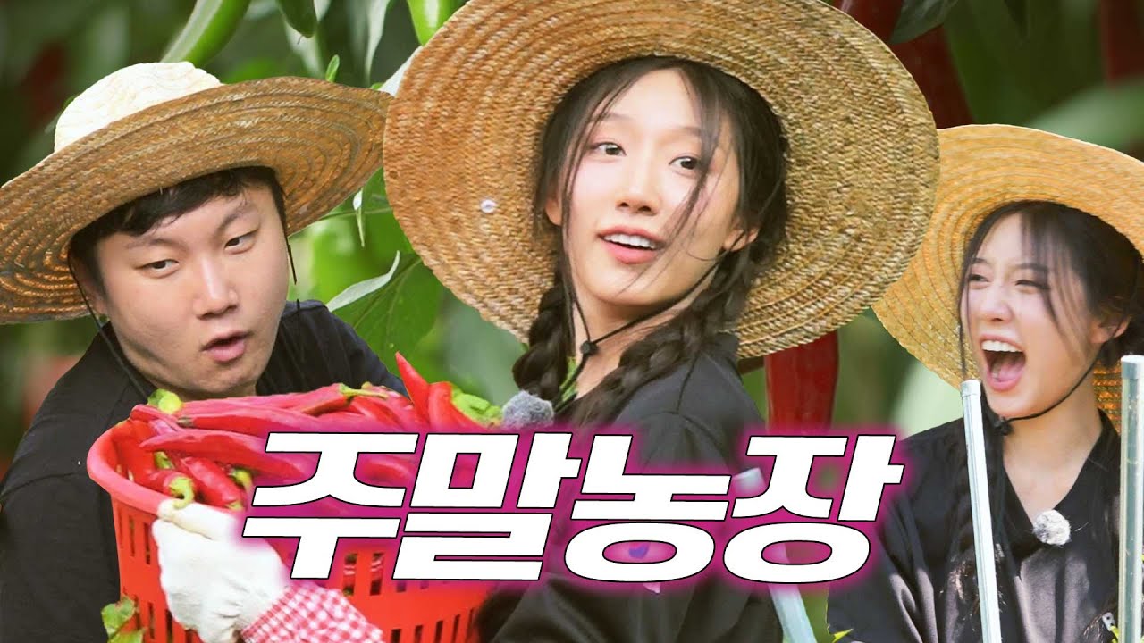 고추밭🌶️털러 왔습니다... 근데 이제 200만 유튜버를 곁들인ㅣ러블리즈 정예인, 빠니보틀ㅣ자취녀