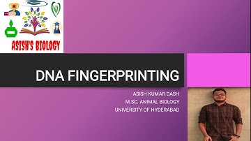 NCERT CLASS 12TH  CHAPTER 6 MOLECULAR BASIS OF INHERITANCE (part 8) DNA FINGERPRINTING
