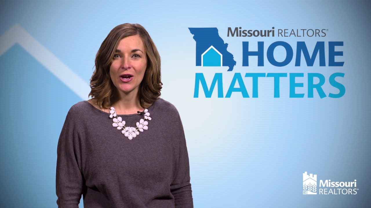 information technology Missouri HomeMatters - November 2016