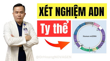 Hướng dẫn lấy mẫu ADN ty thể làm xét nghiệm huyết thống theo dòng Mẹ | Dr Hoàng NOVAGEN