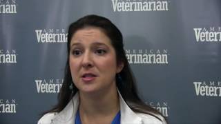 Providing Vet Techs with More Responsibility in Appointments