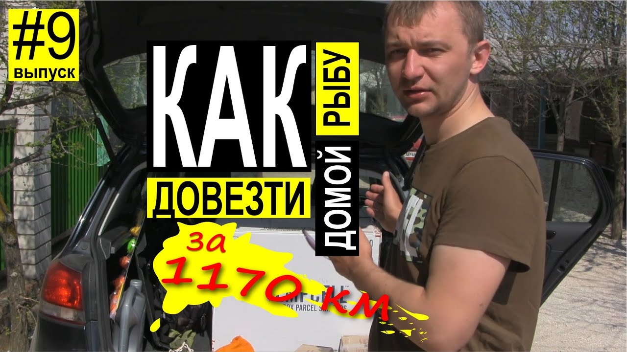 Как перевезти и сохранить замороженную рыбу в машине без холодильника ...