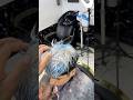 #colorimetría #viralvideo