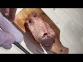 Hecting lidah sapi