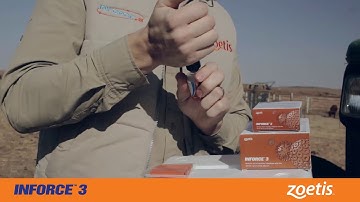 Zoetis Inforce 3 How-To Zulu