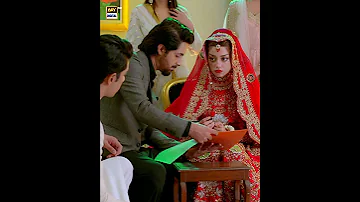 Alizeh Shah Nikah Moment Shorts Nikah Alizehshah Taqdeer 
