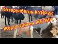 40 миңге КОЧКОР берди  |  20 миңге ЭЧКИ жок