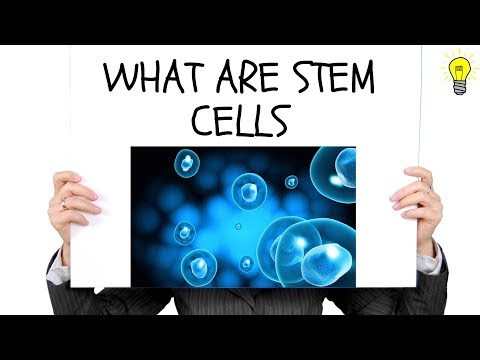 Most Brilliant IAS Interview Questions with Answers | Part 43 | (Exam Busters) | What are Stem Cells