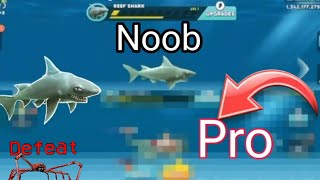 I transformed Reef Shark to this.. |Hungry shark evolution|| noob to pro transformation/🤯